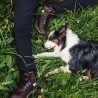 Bota montaña Paredes Kosciu con waterproof.